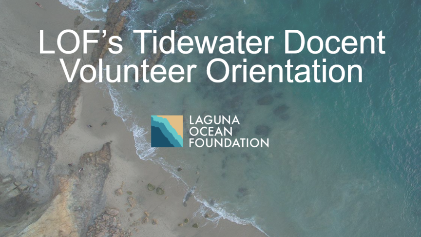 Tidewater Docent Volunteer Orientation and Field Training