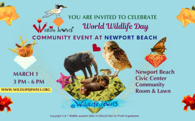 World Wildlife Day celebration at the Newport Beach Civic Center