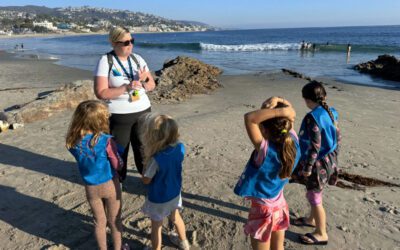 12 California Organizations Fighting to Protect Beaches and Marine Life