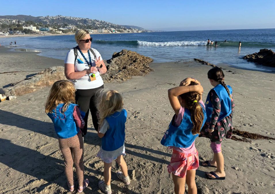12 California Organizations Fighting to Protect Beaches and Marine Life